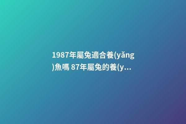 1987年屬兔適合養(yǎng)魚嗎 87年屬兔的養(yǎng)金魚的風(fēng)水-第1張-觀點(diǎn)-玄機(jī)派